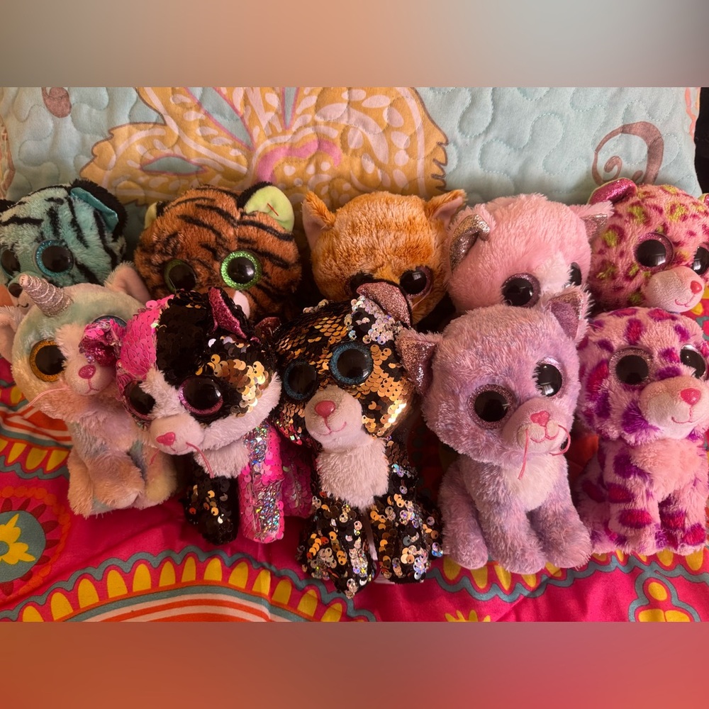 Beanie Boo plush cat lot